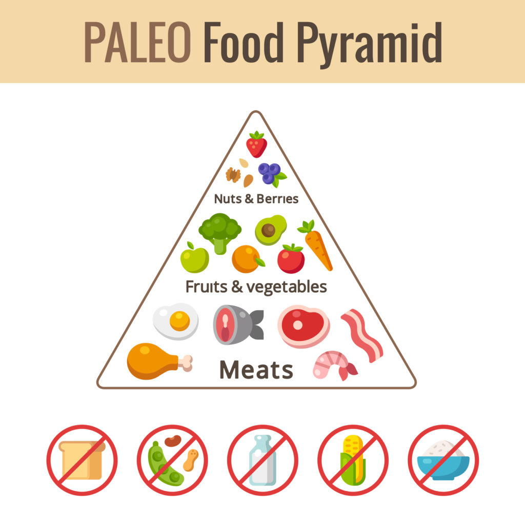 Paleo food pyramid chart. Nutrition and diet infographics. Vector illustration.