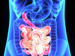 Problem nieszczelnego jelita